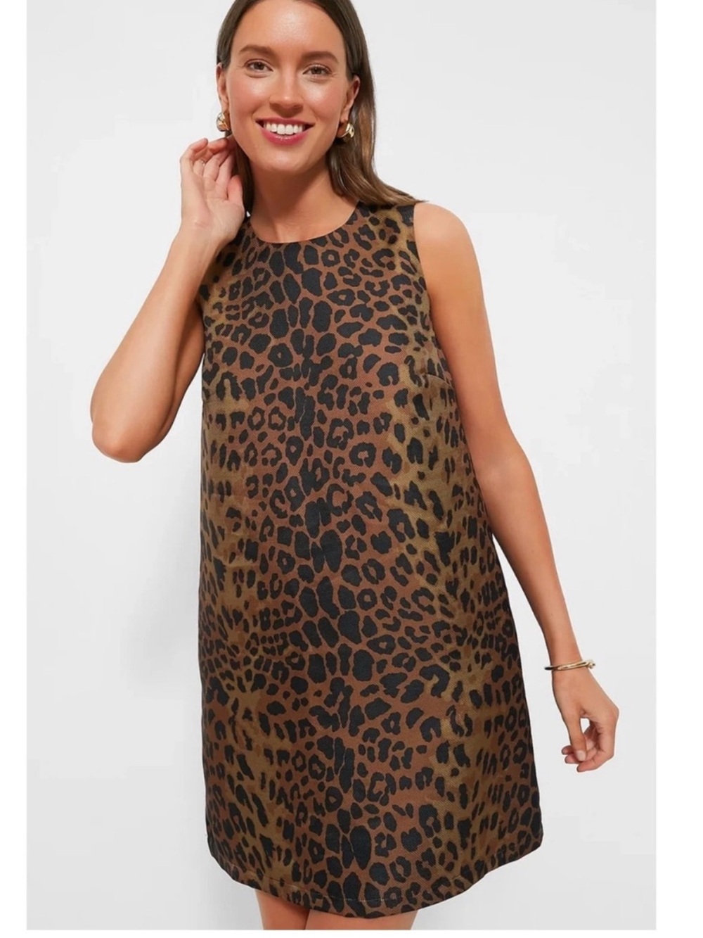 Tuckernuck Marlowe Leopard Dress